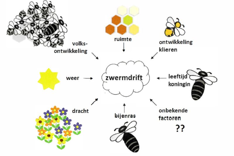 File:Zwermdrift.jpg